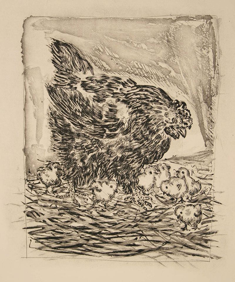 La Mere Poule Pablo Picasso Aquatint and drypoint 14" x 11" 1942 La Mere Poule Pablo Picasso Aquatint and drypoint 14" x 11" 1942