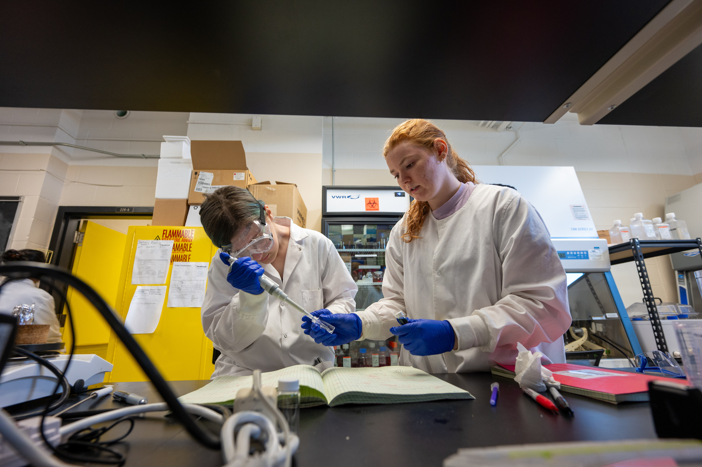 Students working together in a lab