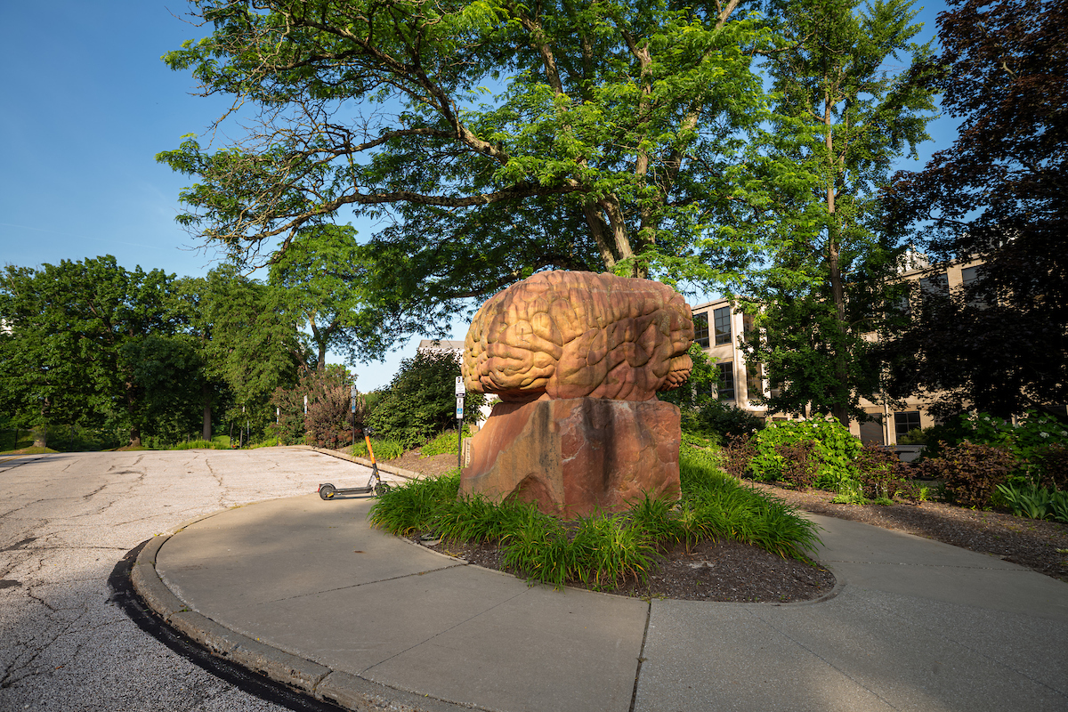 Behind The Brain Plaza