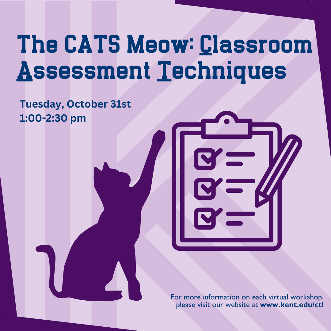Flyer for The CATS Meow: Classroom Assessment Techniques
