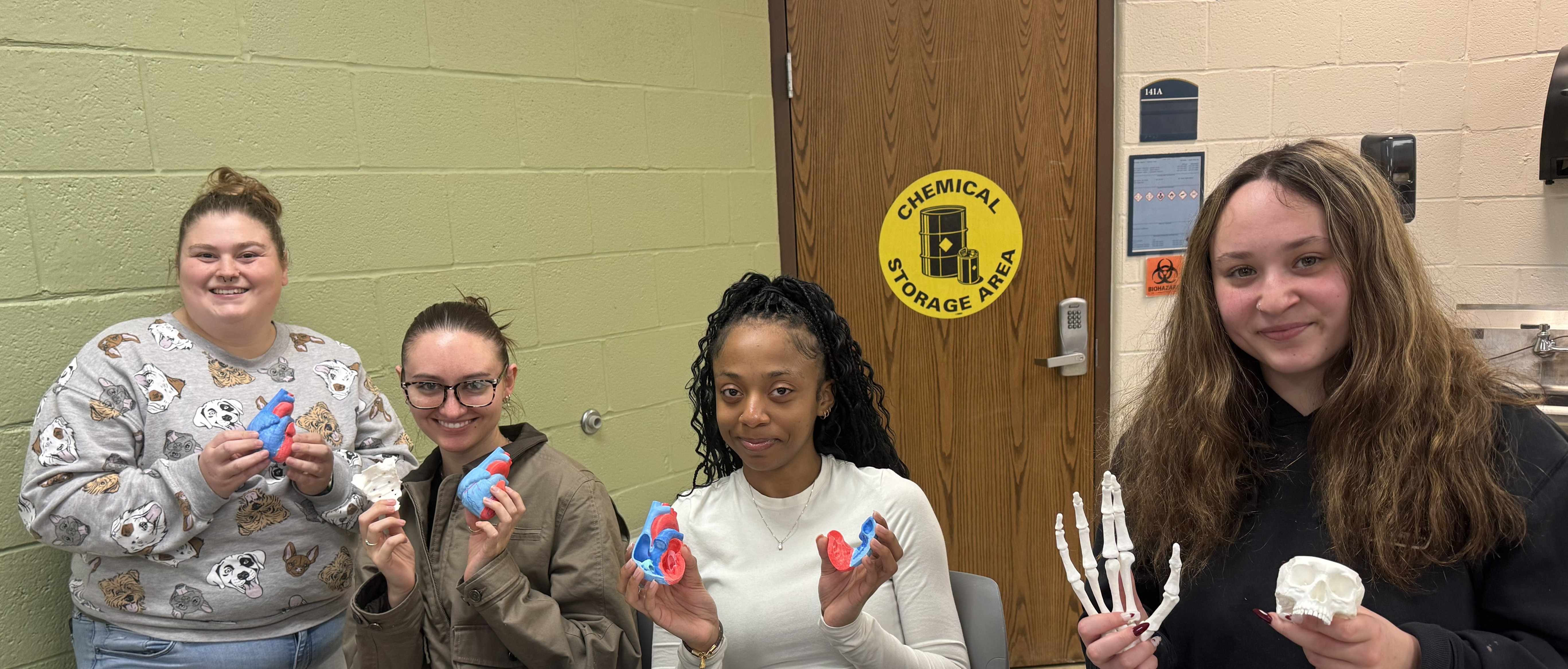 2026 Students in Anatomy and Physiology at Kent State Geauga show 3D printed organs
