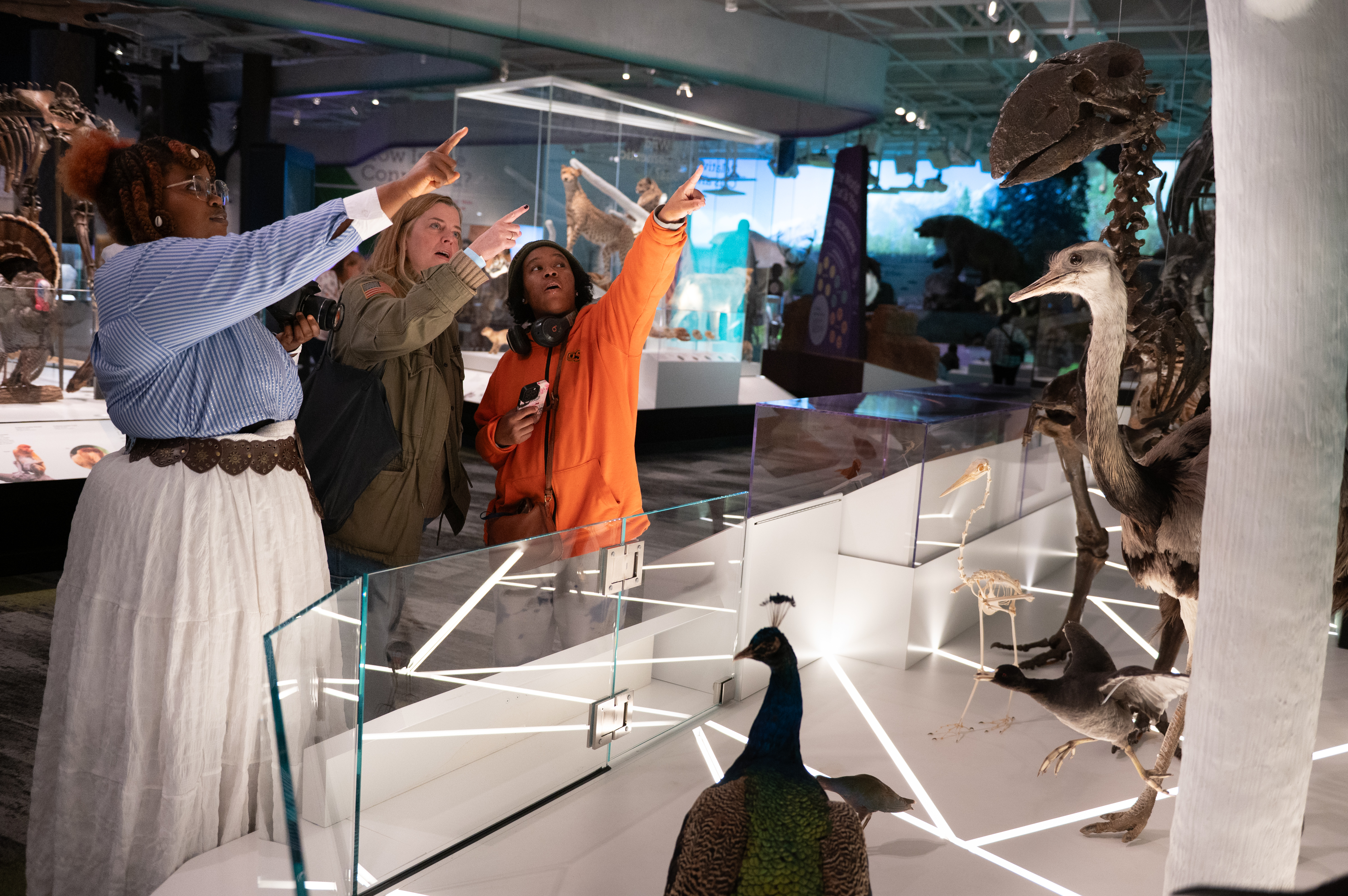 Fashion students visit Cleveland Museum of Natural History