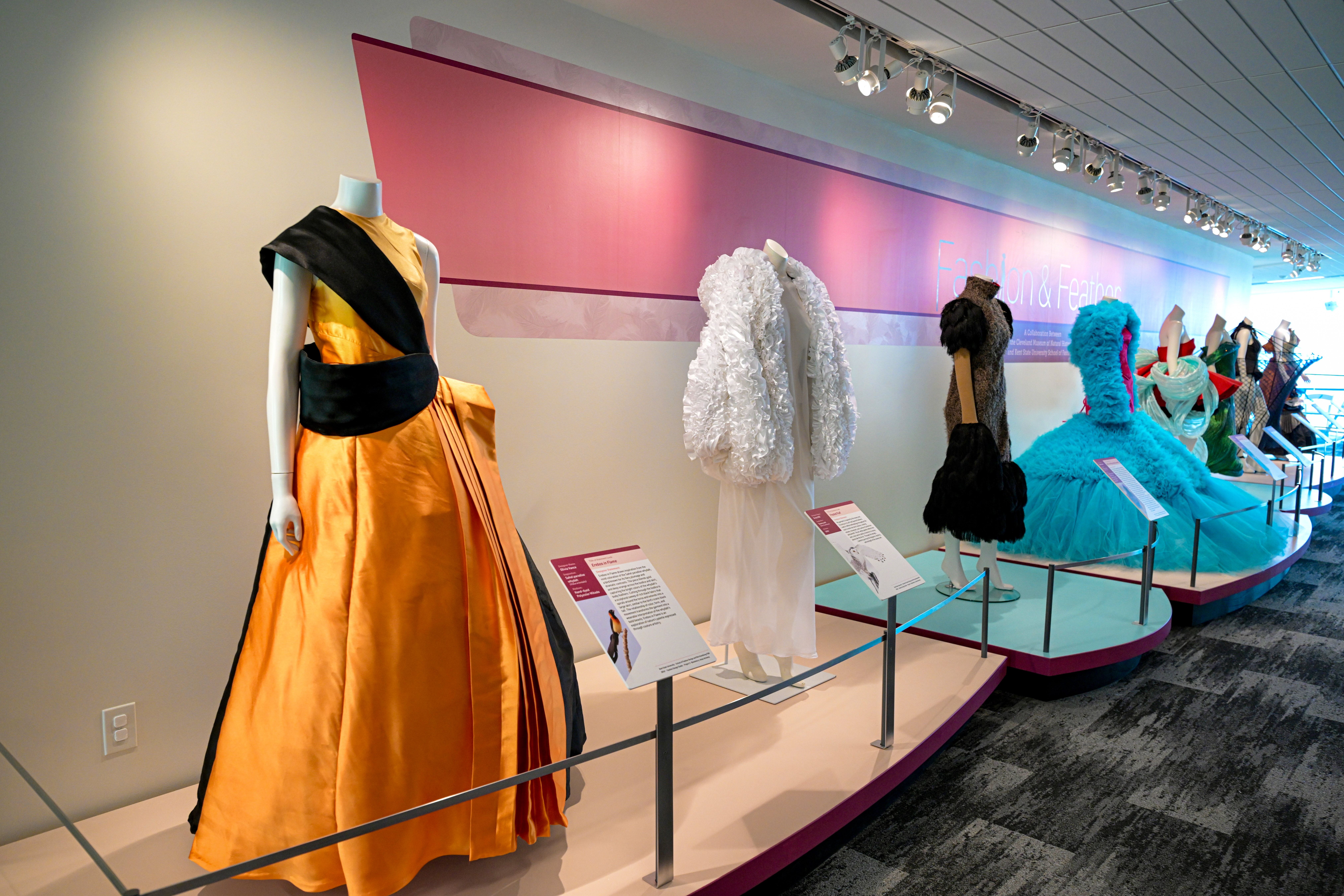 Fashion and Feathers Exhibit