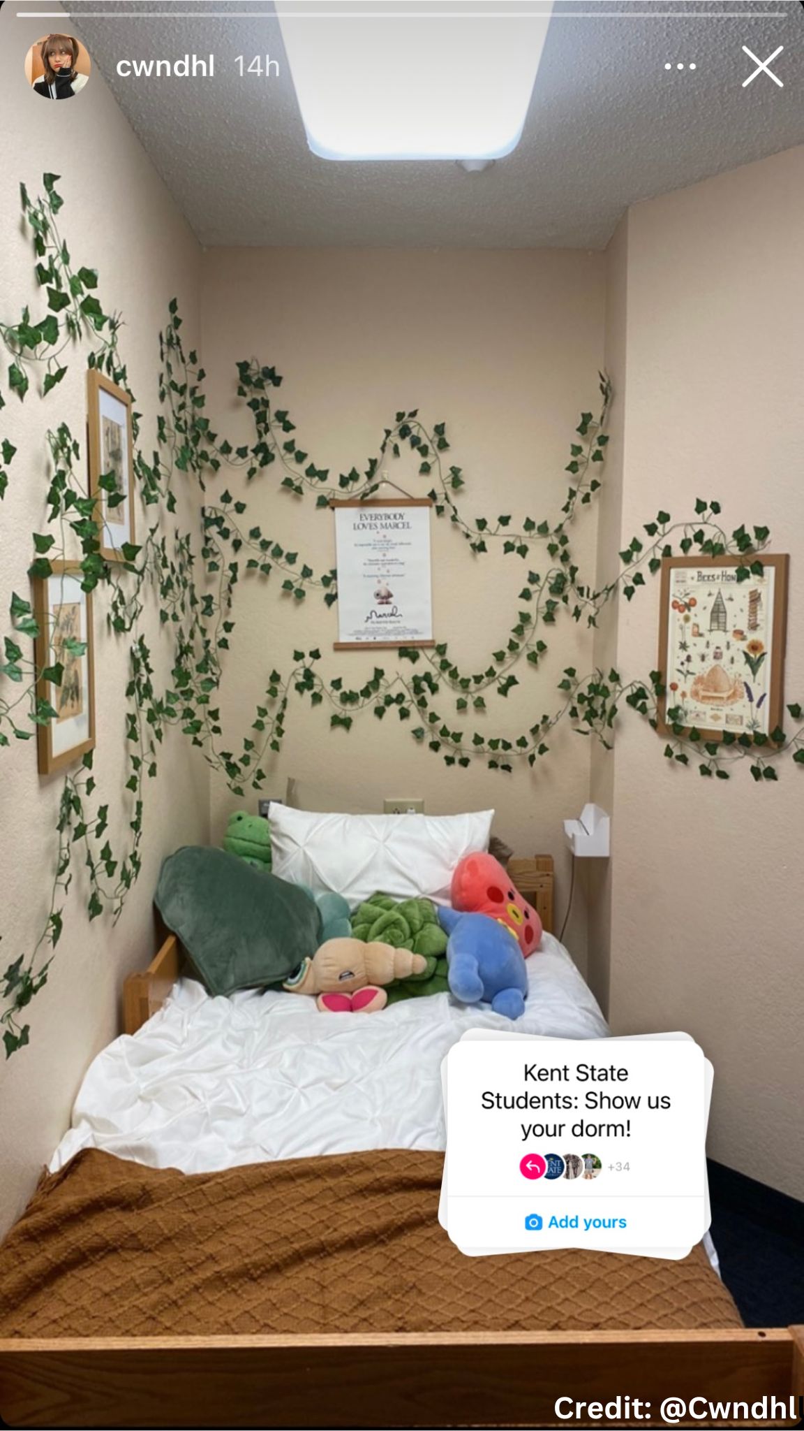 A dorm room with vines hung across the wall and posters in between them.