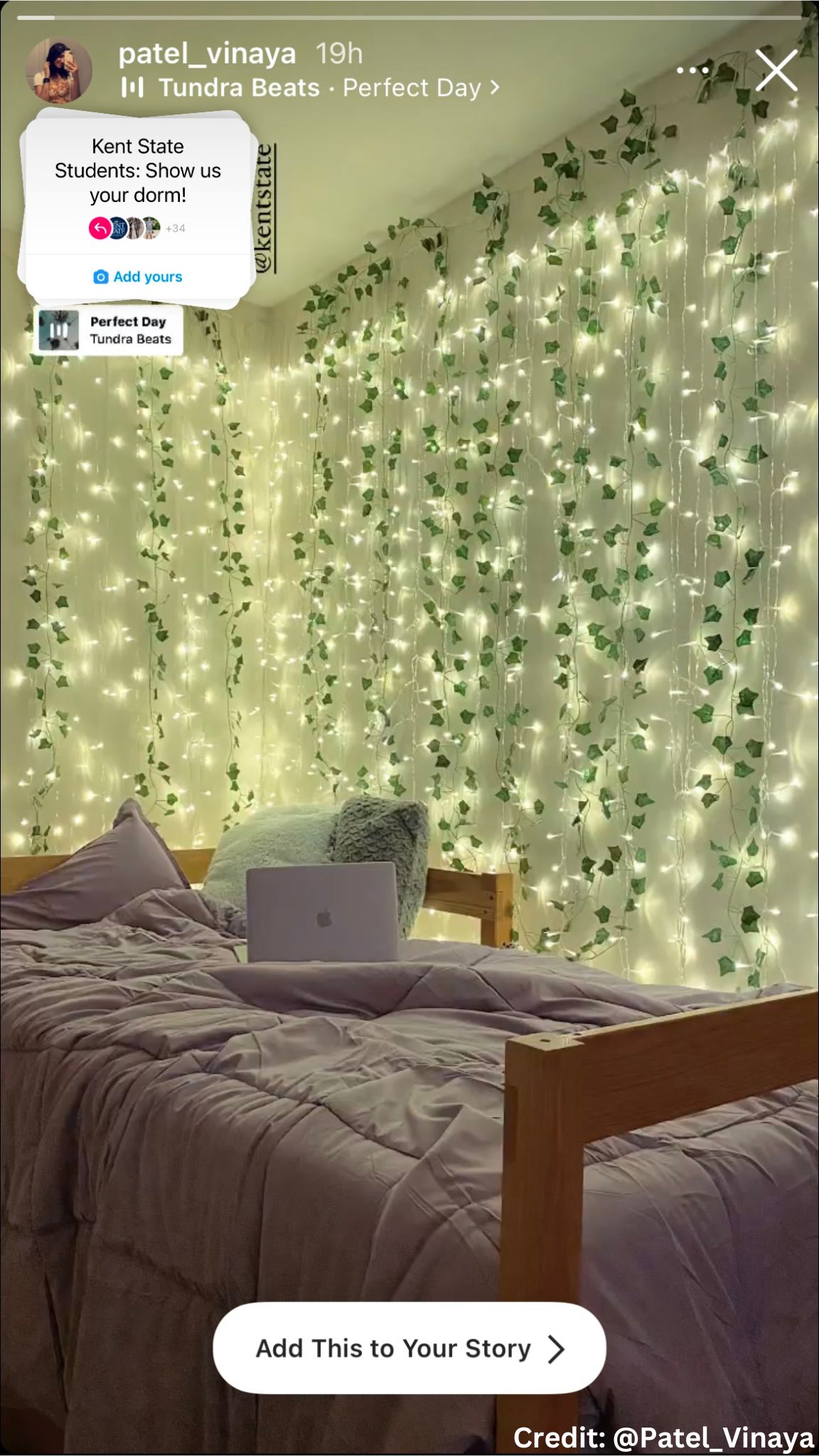 A dorm room with vines and white fairy lights hanging down from the wall. 