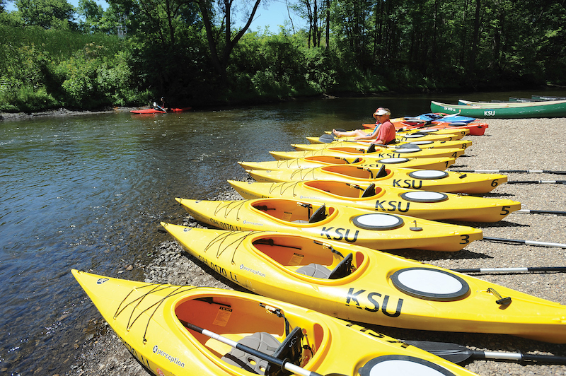 kayaks