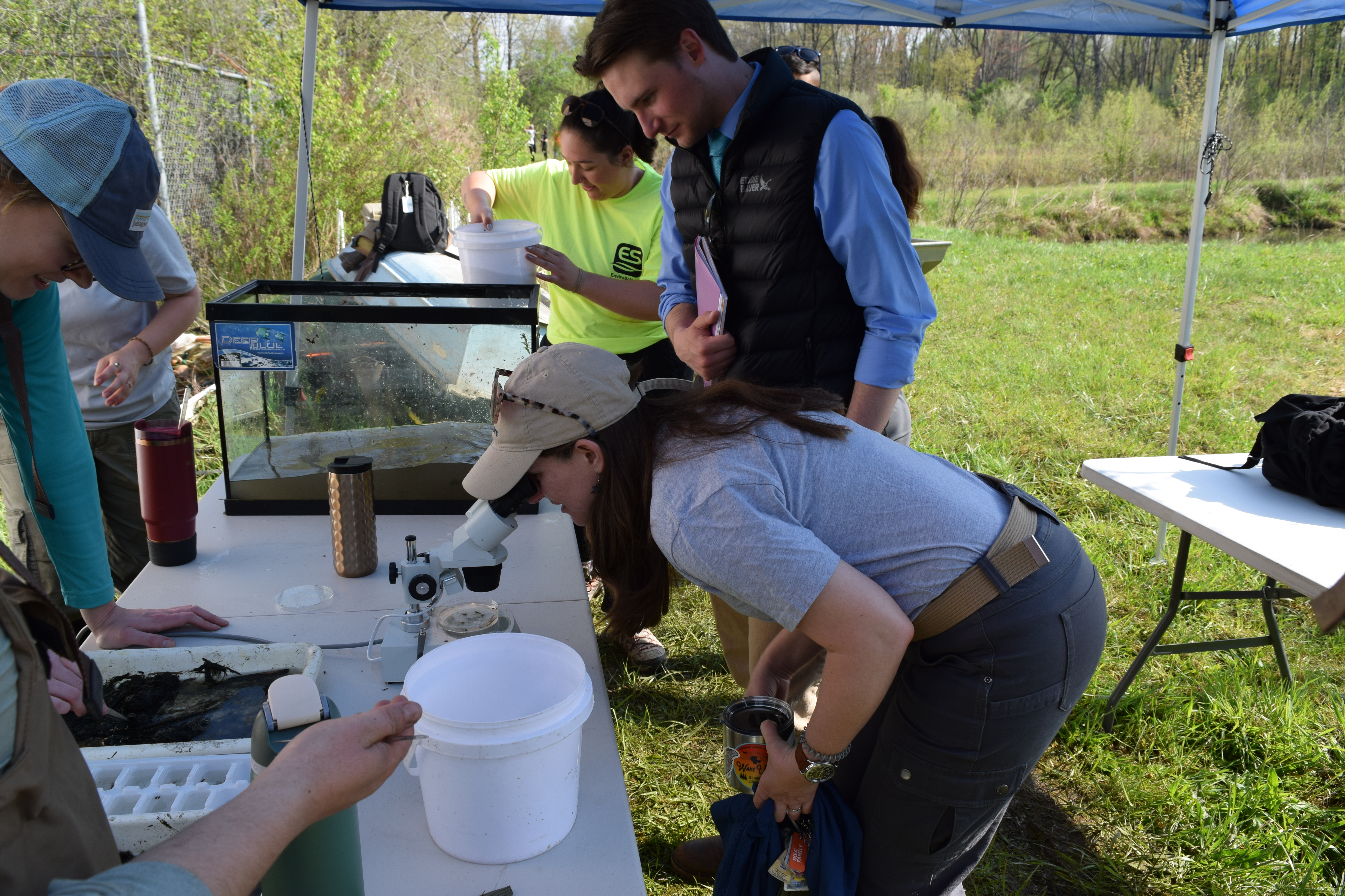 Participants examine some of the collected water samples which include fish, insects and amphibians