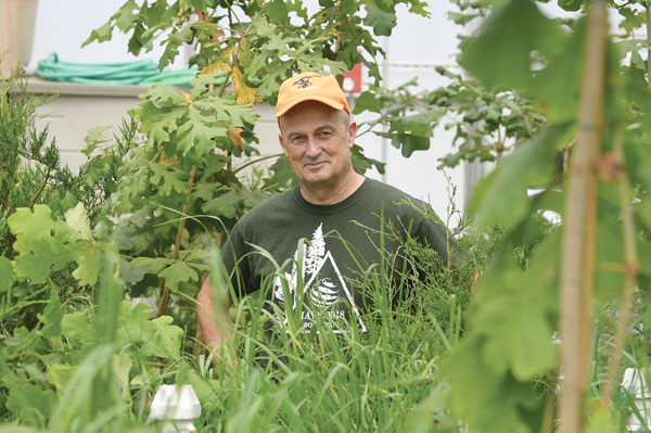 David Ward, Ph.D., the Art and Margaret Herrick endowed professor of Plant Biology