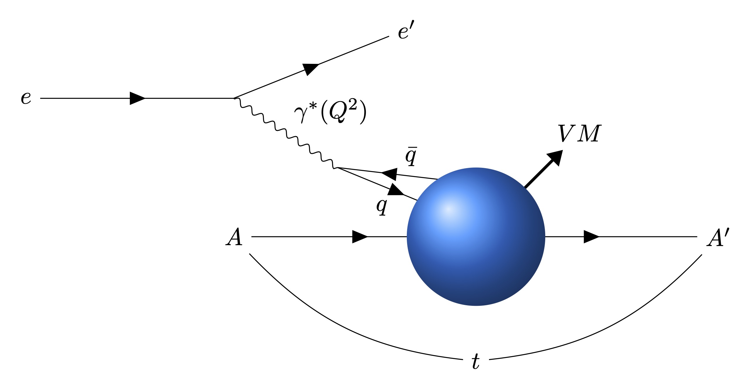 Diagram of Exclusive Vector Meson production at EIC Exclusive Vector Meson production in Electron-Ion Collision