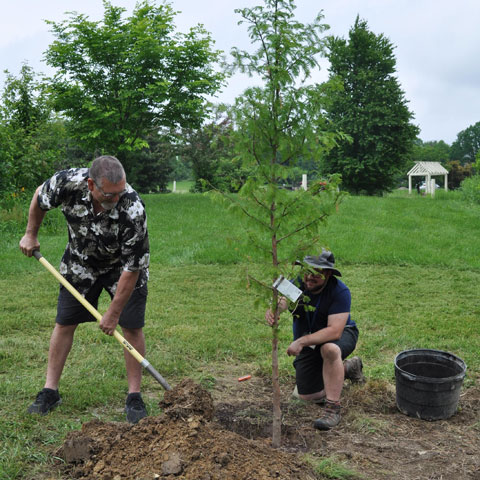 Employee John Stainer and horticulture student Gus Holman plant the tree in honor of Chris Carlson. Employee John Stainer and horticulture student Gus Holman plant the tree in honor of Chris Carlson.