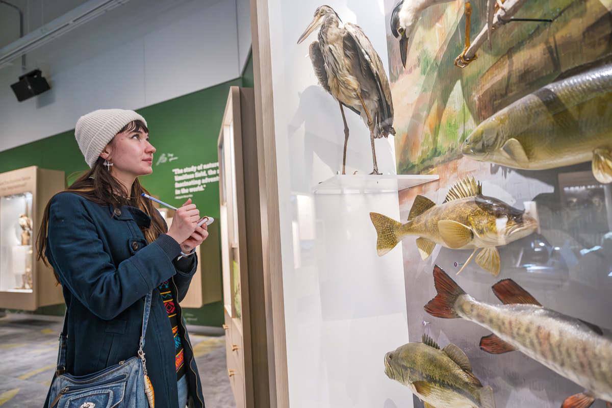 Fashion student looking at Cleveland Museum of Natural History exhibit