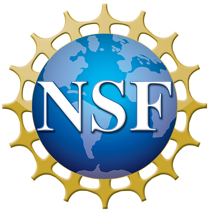NSF Logo NSF logo