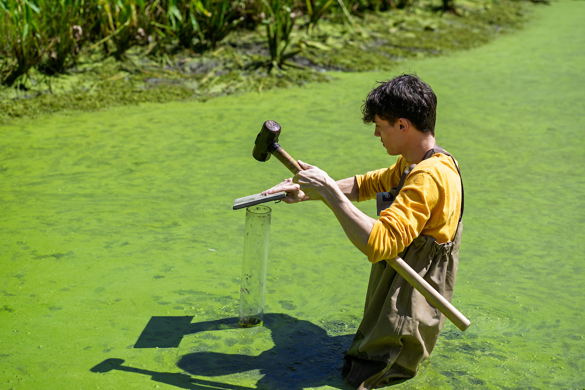 Wetlands Research