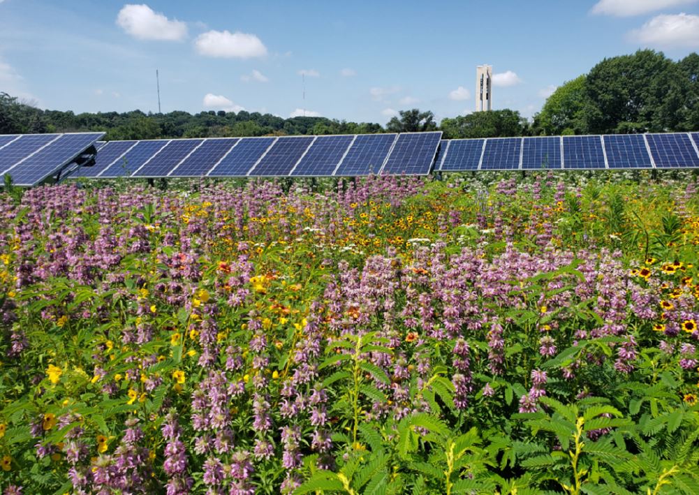 University of Dayton's recent solar panel installation