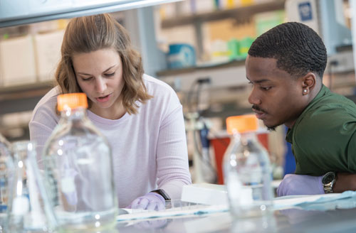 Students in a Lab