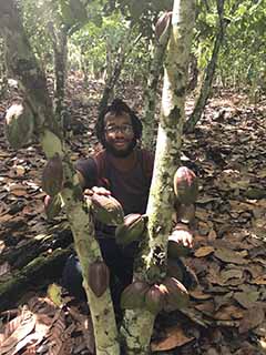 As an intern, Christopher Thompson spent time on a cocoa farm. Here, he is holding cocoa pods As an intern, Christopher Thompson spent time on a cocoa farm. Here, he is holding cocoa pods