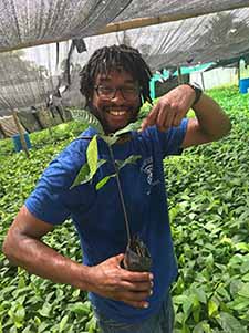 Christopher Thompson holding a cocoa seedling Christopher Thompson holding a cocoa seedling