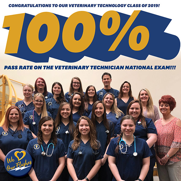 Vet Tech students earn 100% passage rate