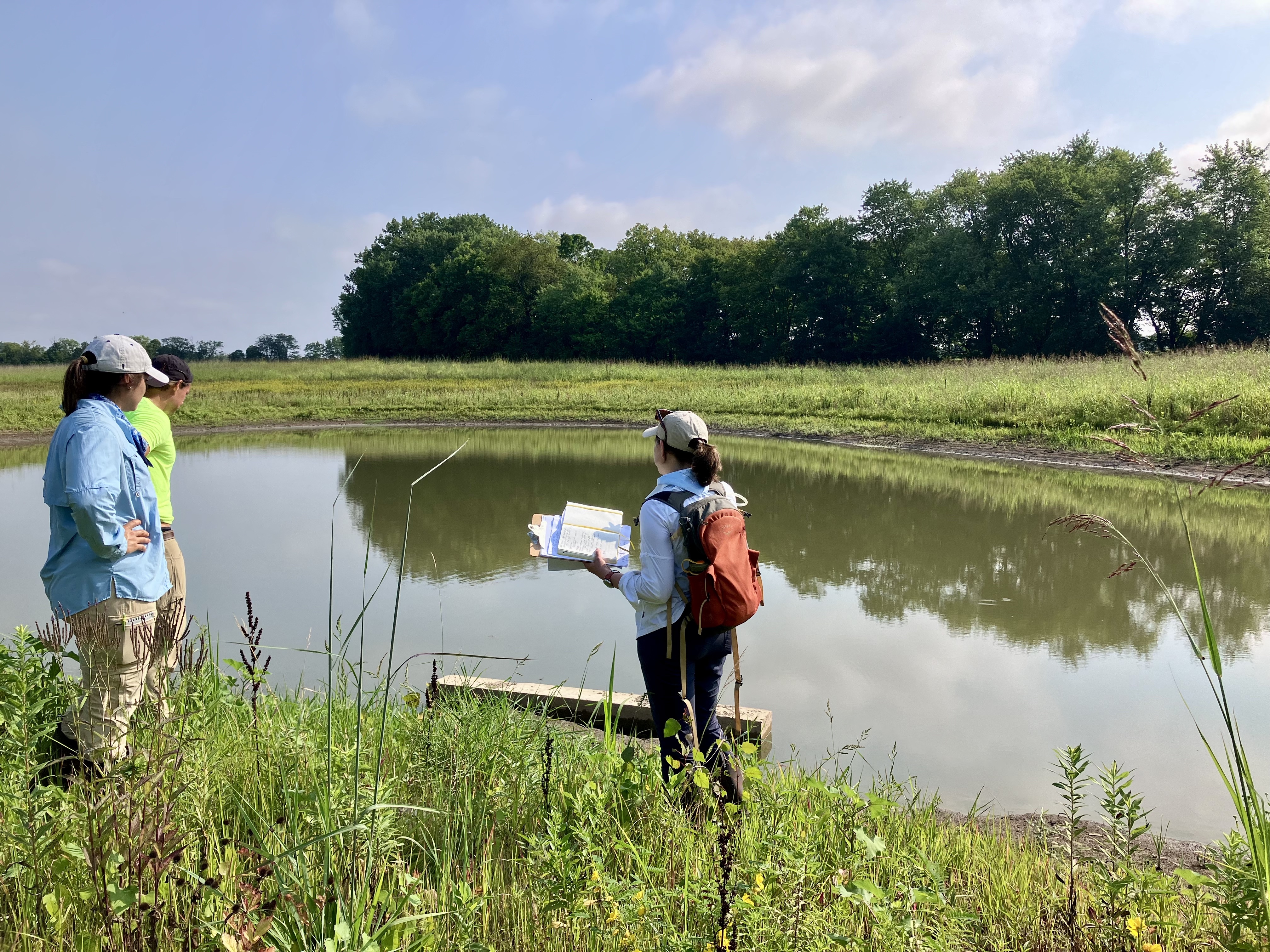 Wetland pool at Walnut Creek