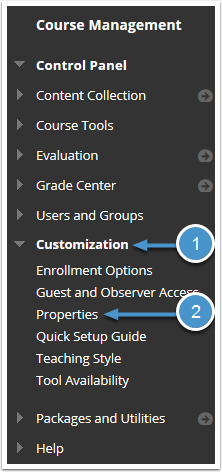 Customization menu expanded