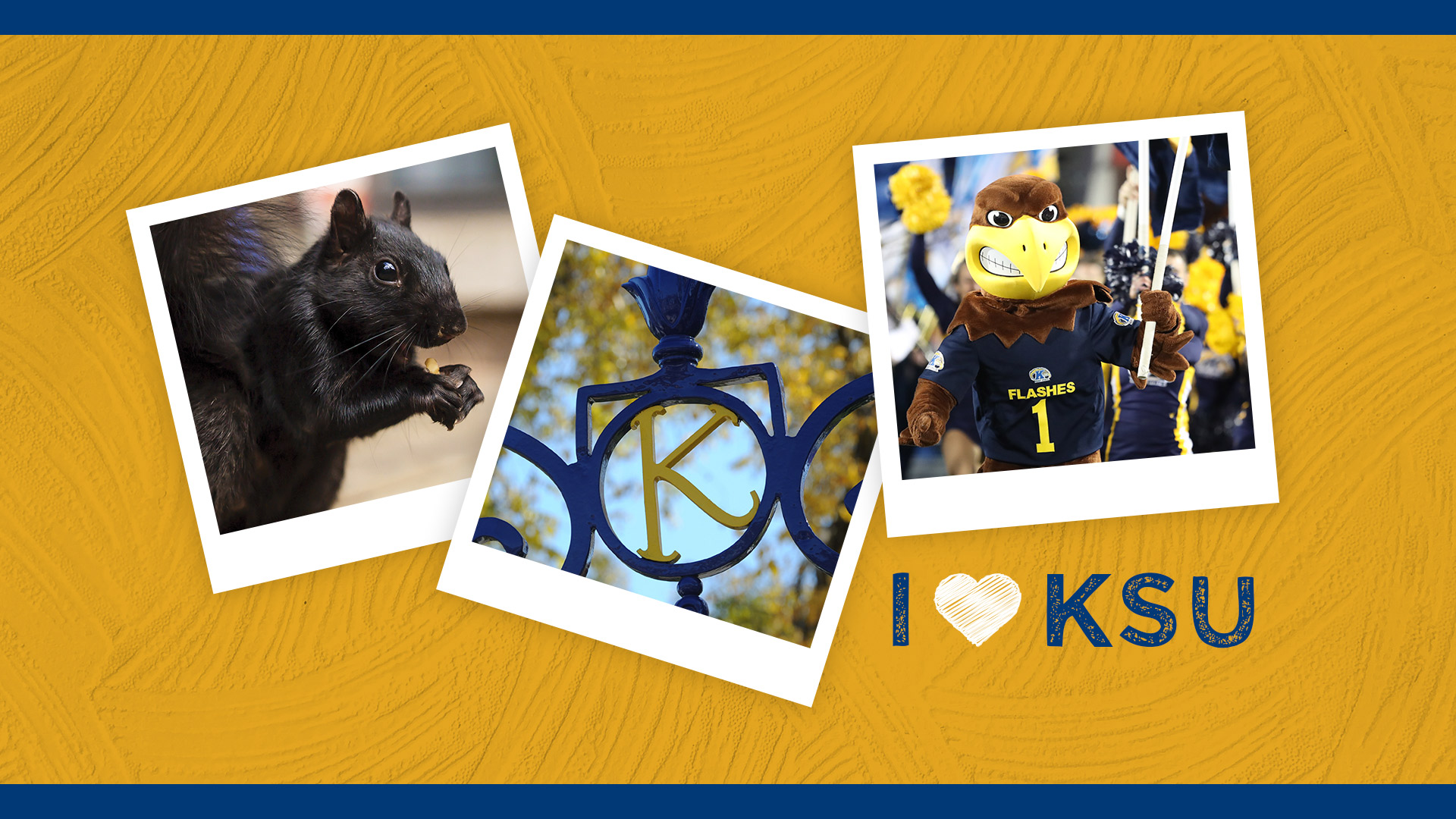 a yellow background with three polaroid style photos and the text "I heart KSU"