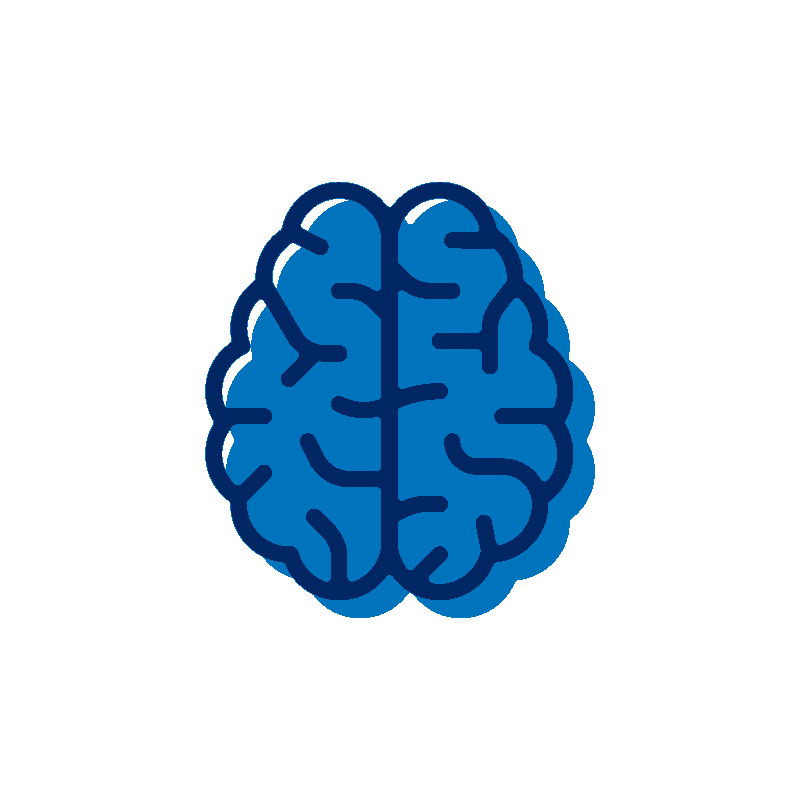 Brain