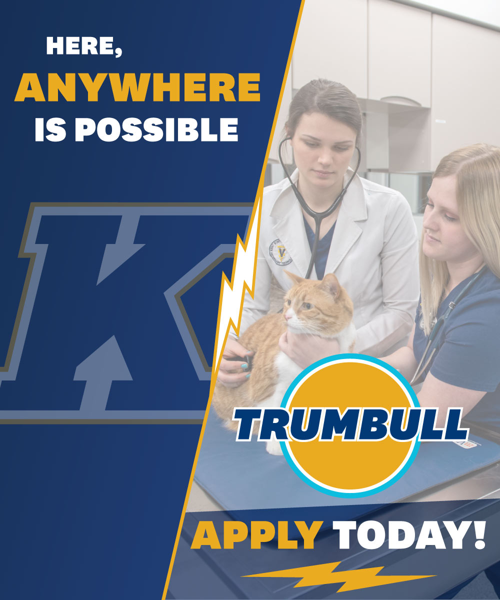 Here Anywhere is Possible