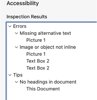 Screenshot of Accessibility Results in MS Word