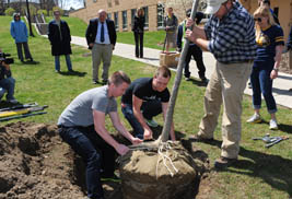 ɫҹ students and employees plant trees near Engleman Hall on the Kent Campus to mark Arbor Day. Engleman Hall was the winner of the residence hall recycling competition for the third year in a row.