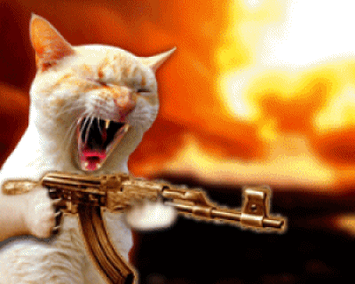 Cat with nuke