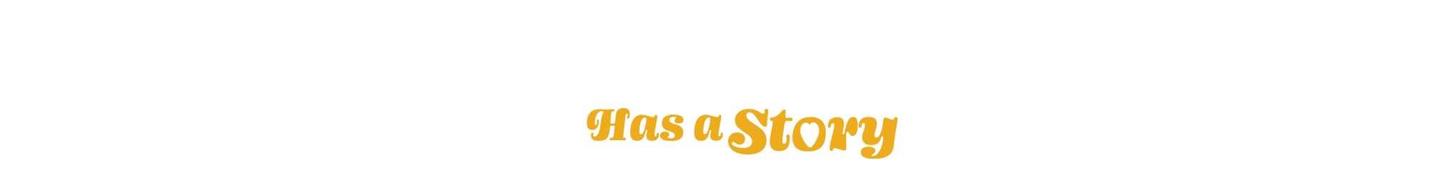 Every Flash Has a Story Logo