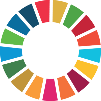 SDG logo seal