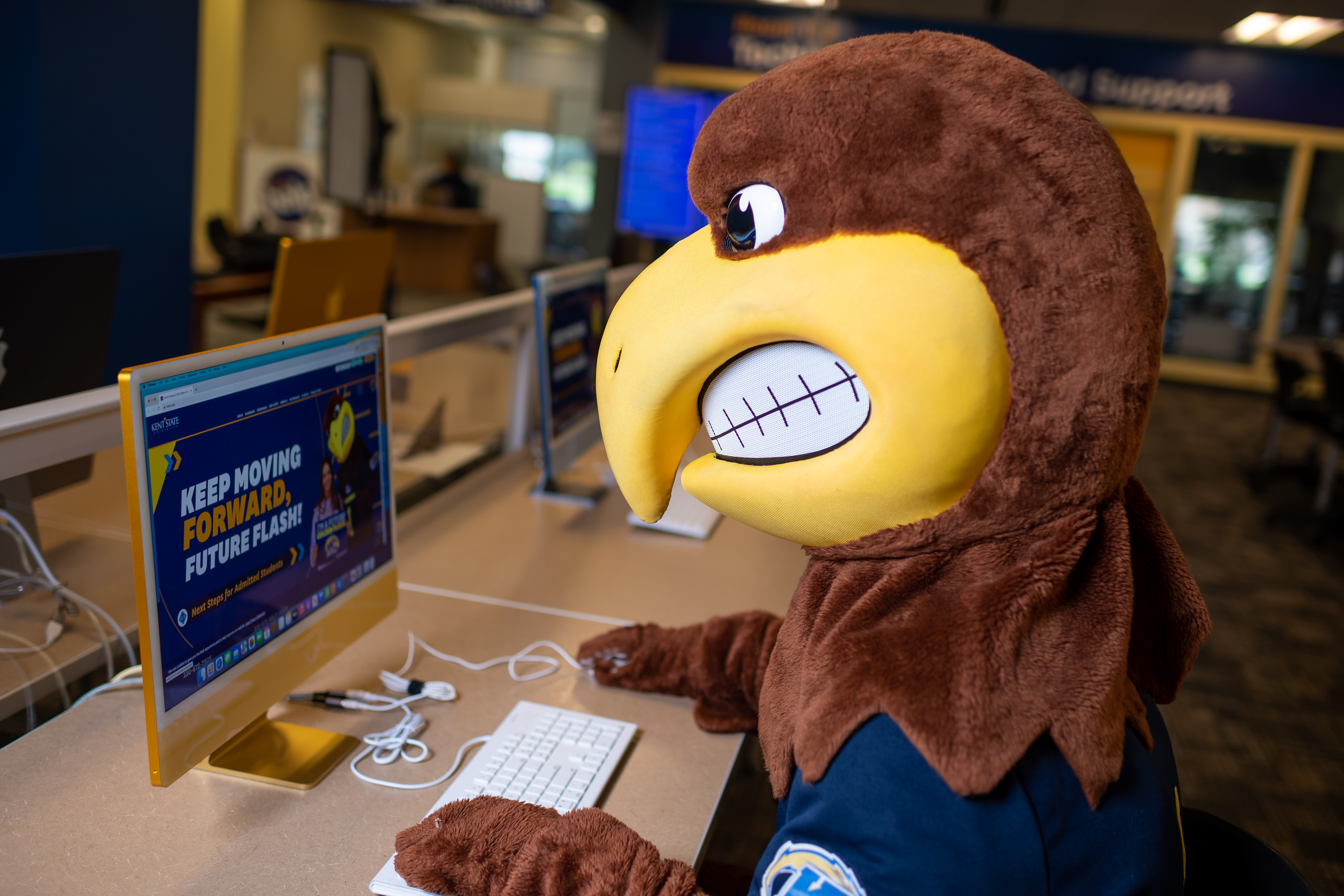 Flash the Golden Eagle working on a computer in the library.