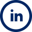 LinkedIn icon