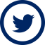 Twitter icon