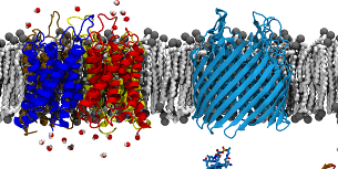 membrane proteins minidisk image membrane protein minidisk image