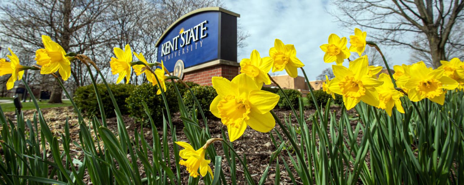 Kent State sign with daffodils