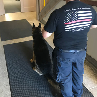 An officer and his K9 partner prepare to search. An officer and his K9 partner prepare to search.