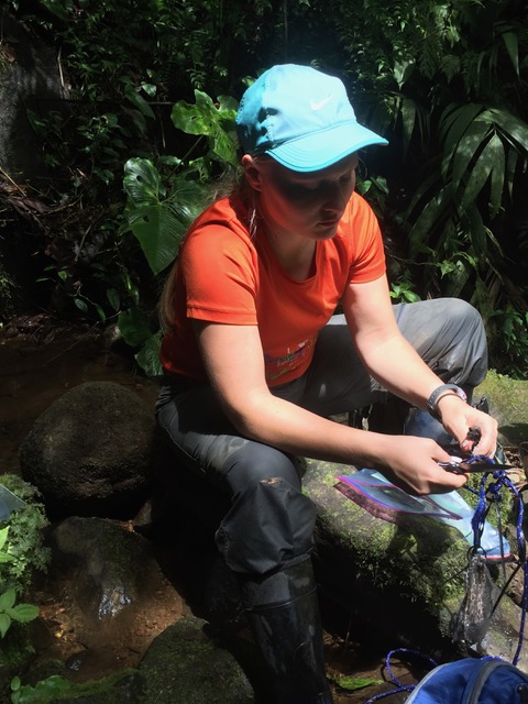 Emmaleigh Given sitting along the stream bank untangling ropes attached to temperature and light sensors.