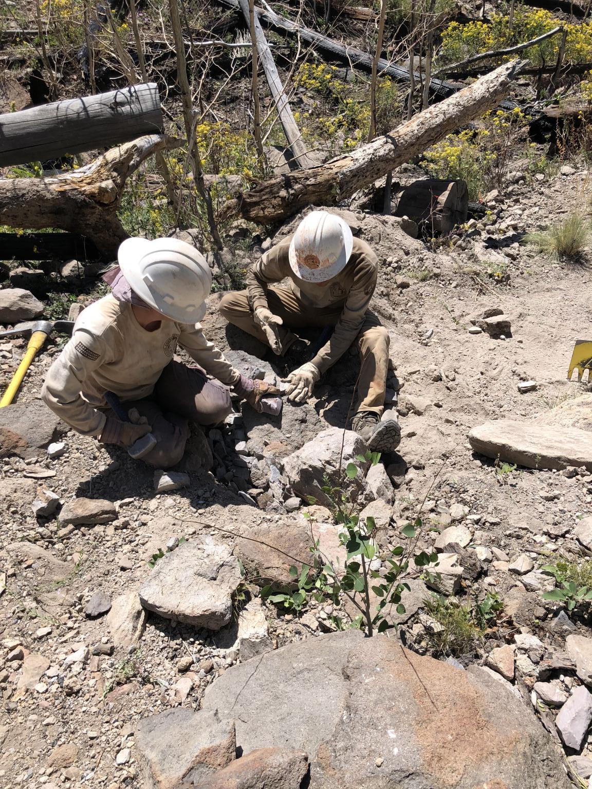 RPTM student working on trail at internship