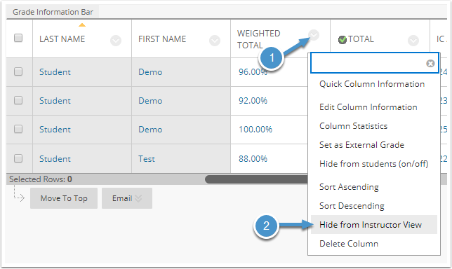 Hide from Instructor View menu option