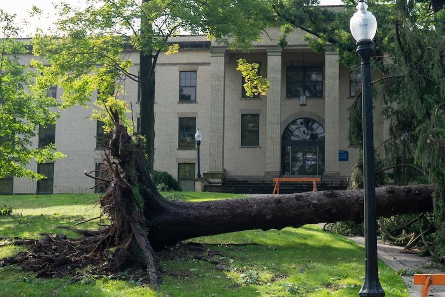 Fallen tree on campus due to storm damage