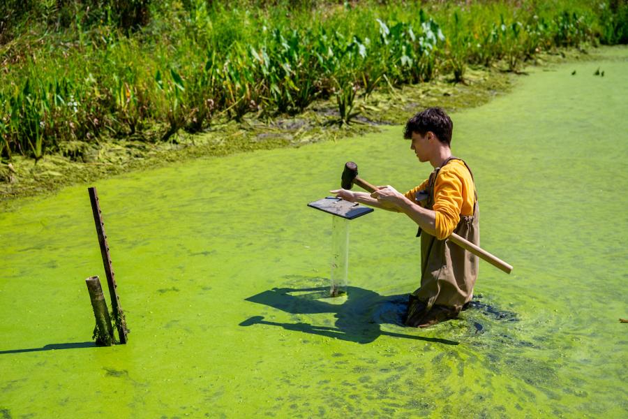 SURE student collecting sediment samples.