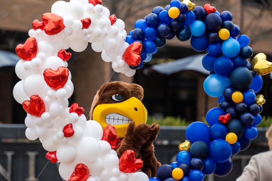 Flash in a heart shape of balloons