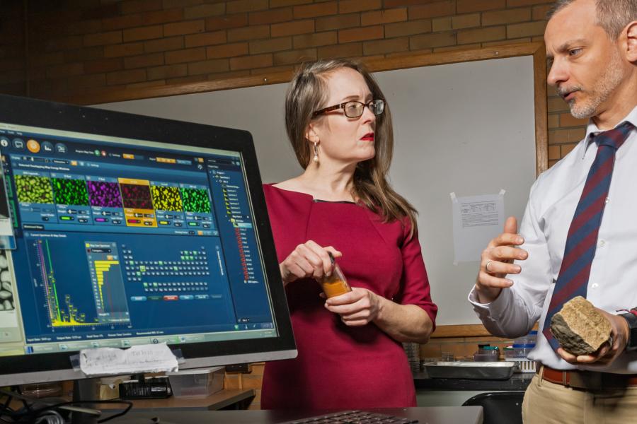 Bridget Mulvey and David Singer