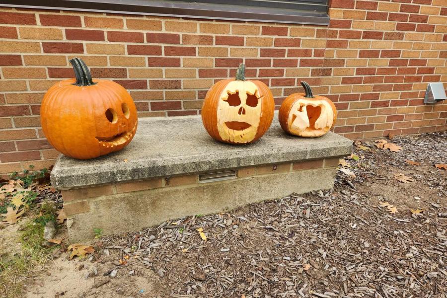 Carved Halloween pumpkins outside of Beall Hall