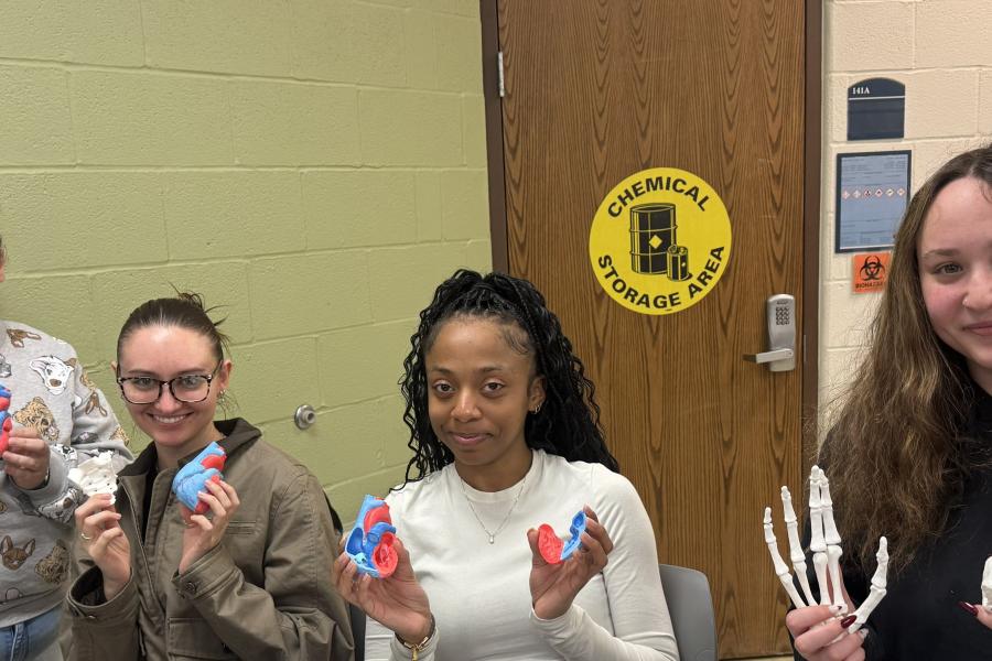 2026 Students in Anatomy and Physiology at Kent State Geauga show 3D printed organs