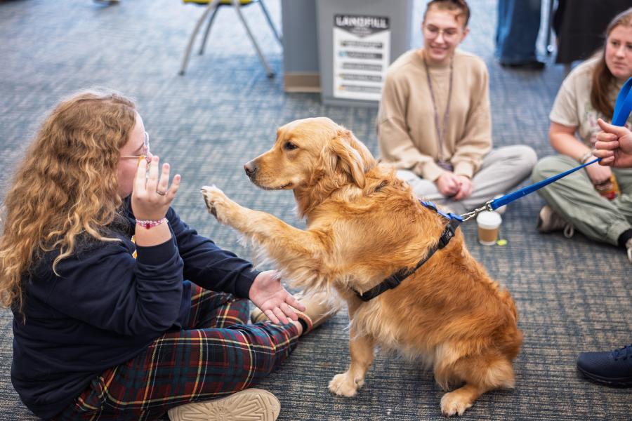 Stress Free Zone Fall 2025