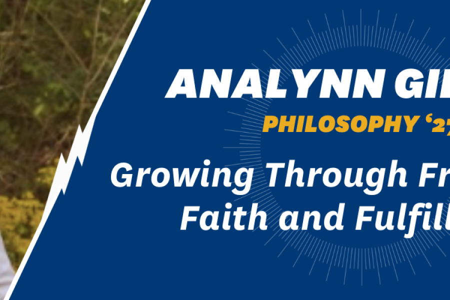 Analynn Gibson blog banner