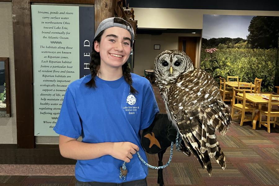 Honors College student Betty Sterling holds an owl at her internship site.